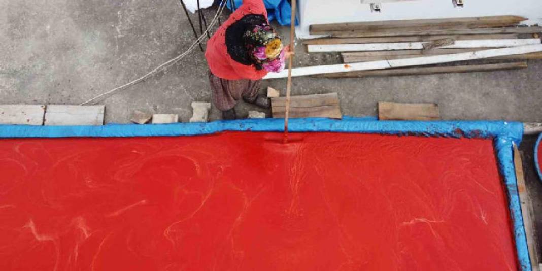 Güneşte pişiyor buram buram emek kokuyor! Adana’da yoğun mesai: Damlarda rengarenk sergileniyor 6